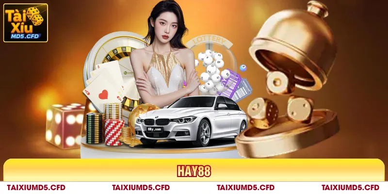 Hay88